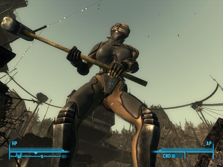 Fallout 3 - ScreenShot0.jpg