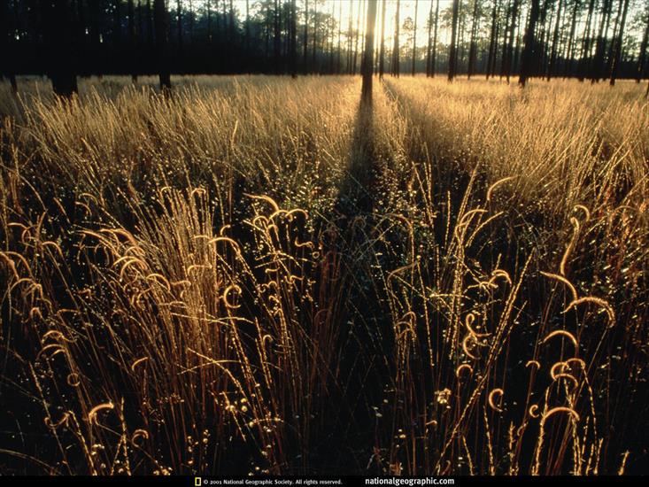 National Geographic - NGM1996_09p138-9.jpg